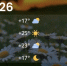 Screenshot - ЗА Новомосковск