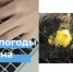 Прогноз погоды с 4 по 6 мая - Кувандыкский городской округ