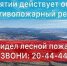 Лесники Бурятии потушили 4 пожара, действующих возгораний в лесах республики нет - ГТРК Бурятия