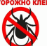 «Горячая линия» по вопросам профилактики инфекций, передающихся клещами - Администрация Лиманского района