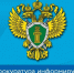 Новые меры социальной поддержки для семьей с детьми появились в Алтайском крае. - Администрация города