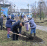 Стартовал приём заявок на городской конкурс по предоставлению грантовой поддержки в Хабаровске - Администрация г. Хабаровска