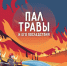 Пал травы - Артемовский городской округ