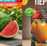 «Подарок Северу» и «Король Севера» — мы нашли арбуз и перец, которые можно вырастить в Мурманской области? - ИА Nord-News.Ru