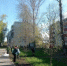 Служба благоустройства и содержания продолжает наводить чистоту и порядок в городском округе - Городской округ Кинель