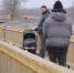 Елизовский парк на Аваче стал точкой притяжения для жителей Камчатки . Фото: kamgov.ru. Фотография 1 - ИА Камчатка