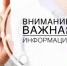 О подозрении на возникновение бешенства. - Администрация