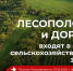 Лесополосы и дороги   входят в состав сельскохозяйственных земель. - Демянский район