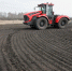 Фото Дениса Моргунова - Tumentoday.Ru