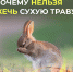 Поджигание сухой травы наносит серьёзный вред дикой природе, особенно животным - Администрация Хабаровского района
