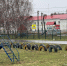 Опасные украшения - Газета Знамя