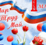 Поздравляем коллектив Муромского института ВлГУ с 1 Мая! - Муромский филиал ВлГУ