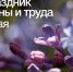 Поздравление ректора ВолгГТУ с Праздником Весны и Труда - ВолгГТУ