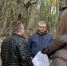 Смолянам рассказали о новом этапе благоустройства Реадовского парка - Смоленск 2.0