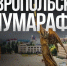 Ставрополь 23 мая примет масштабный полумарафон «ЗаБег.РФ» - Телеканал СвоёТВ