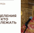 Шок исцеления для тех, кто привык лежать - Феодоровский собор