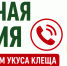 Роспотребнадзор запустил горячую линию по вопросам укусов клещей - Газета К новым рубежам