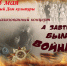 приглашаем на театрализованный концерт, посвященный 9 мая - фото - 1 - Велижский район