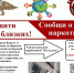 Курский край - без наркотиков!. - Администрация МО Курчатов