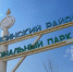 Курортный район в Бурятии наводнили стаи бакланов - ИА Байкал-Daily