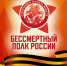 Акция «Бессмертный полк» в Сосновоборском округе: Расписание и форматы участия. - Город Сосновоборск