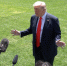 Разногласия по Донбассу: стало известно, что удивило США - LiveKuban.Ru