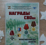 Мультимедиа о героях СВО для людей с проблемами зрения создали на Ставрополье - Вечерний Ставрополь