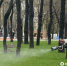 В Белгороде обрабатывают парки от клещей - Мир Белогорья