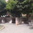 Сквер за концертным центром им. Щепкина в Курске приведут в порядок - Курские Известия