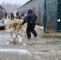 img - ЛДПР