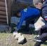 img - ЛДПР