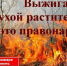 Сжигание сухой травы может привести к тяжким последствиям. - Администрация Ребрихинского района