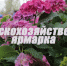 Принимаем заявки на сельскохозяйственную осеннюю ярмарку!. - Нюксенский муниципальный округ