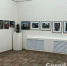 В Армавире начала свою работу фотовыставка «Май шагает по планете!» - GorodArmavir.Ru