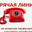 Горячая линия. - Вель­ский муни­ципаль­ный район