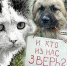 Уголовная ответственность за жестокое обращение с животными. - Звериноголовский муниципальный округ