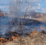 СВОДКА 01 Чусовой - Чусовской городской округ
