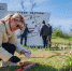 К 9 мая в Севастополе приведут в порядок более 150 памятников Великой Отечественной войны - Правительство Севастополя