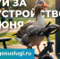 Голосуй за благоустройство до 12 июня - Центральная городская библиотека