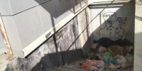 На Грабцево спуск в подвал завалили мусором - Калужский перекрёсток
