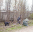 Первомайское утро в Бугульме началось с субботника в рамках акции «Вода России» - Бугульминская газета