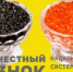 Маркировка икры осетровых и лососевых рыб - Город Агидель