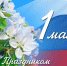 1 - Дума г.о.Чапаевск