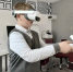 Школьникам Севастополя помогают узнать разнообразие профессий через VR-технологии - Правительство Севастополя