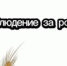 Проект «Юные агрономы-исследователи» в подготовительной группе детского сада №2 - Ютазинский район