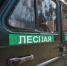 В Томской области создается институт общественных лесных помощников - Департамент лесного хозяйства