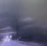 Скриншот видео: МВД по Петербургу и Ленобласти - Мой район