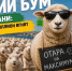 IMG_20260504_144657 - Сетевое издание Арбуз