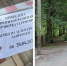 Объяснено, как избежать укуса клеща - Gubdaily.Ru