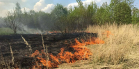 27 возгораний сухой травы произошло в Нижегородской области - НИА Нижний Новгород